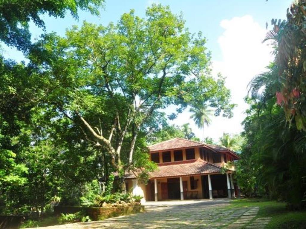 Nature Lovers Resort Ingiriya Bagian luar foto